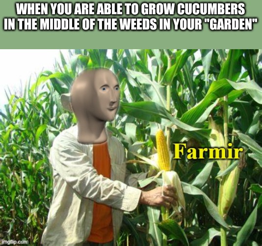 Stonks Farmir | WHEN YOU ARE ABLE TO GROW CUCUMBERS IN THE MIDDLE OF THE WEEDS IN YOUR "GARDEN" | image tagged in stonks farmir | made w/ Imgflip meme maker