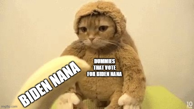 Don't eat the nana. | DUMMIES THAT VOTE FOR BIDEN NANA; BIDEN NANA | image tagged in monkey cat | made w/ Imgflip meme maker