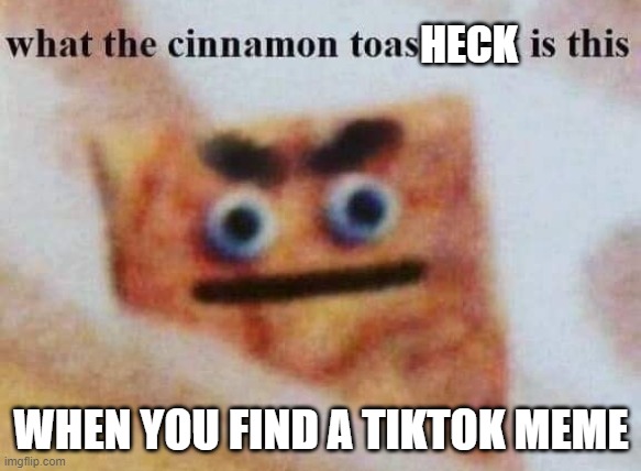 (╯°□°）╯︵ ┻━┻ 2 | HECK; WHEN YOU FIND A TIKTOK MEME | image tagged in mmmm | made w/ Imgflip meme maker