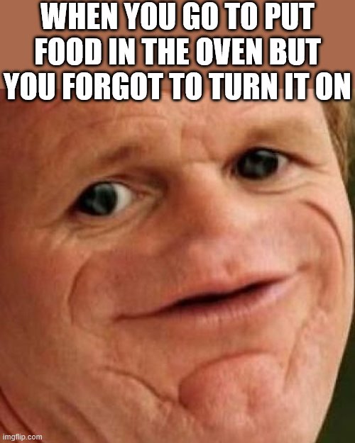 SOSIG | WHEN YOU GO TO PUT FOOD IN THE OVEN BUT YOU FORGOT TO TURN IT ON | image tagged in sosig | made w/ Imgflip meme maker