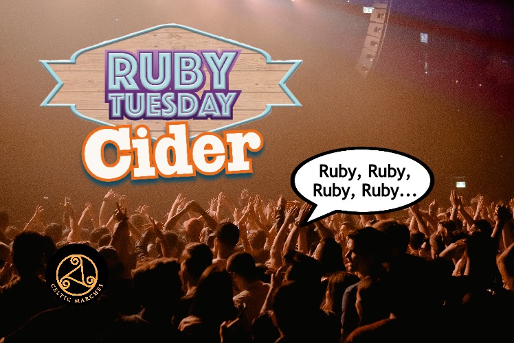Ruby, Ruby, Ruby, Ruby! | Ruby, Ruby, Ruby, Ruby... | image tagged in crowd,crowd of people,festival,music,rock music,dance | made w/ Imgflip meme maker