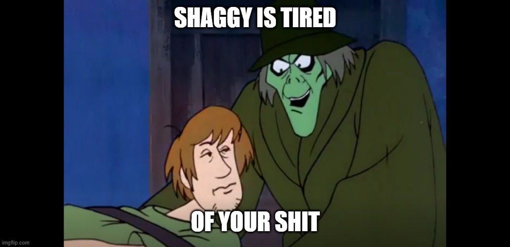 Shaggy | SHAGGY IS TIRED; OF YOUR SHIT | image tagged in funny | made w/ Imgflip meme maker