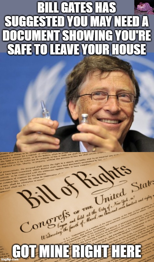 The whole ID2020 project is scary | BILL GATES HAS SUGGESTED YOU MAY NEED A DOCUMENT SHOWING YOU'RE SAFE TO LEAVE YOUR HOUSE; GOT MINE RIGHT HERE | image tagged in bill of rights,bill gates loves vaccines | made w/ Imgflip meme maker
