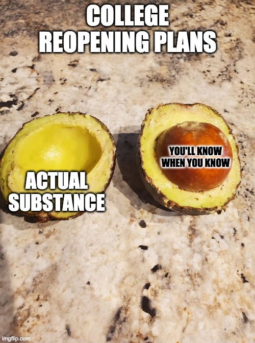 College Reopening | COLLEGE REOPENING PLANS; YOU'LL KNOW WHEN YOU KNOW; ACTUAL SUBSTANCE | image tagged in big pit avocado | made w/ Imgflip meme maker