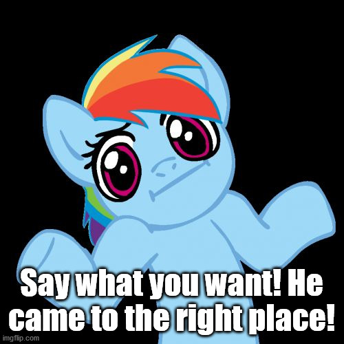 Pony Shrugs Meme | Say what you want! He came to the right place! | image tagged in memes,pony shrugs | made w/ Imgflip meme maker