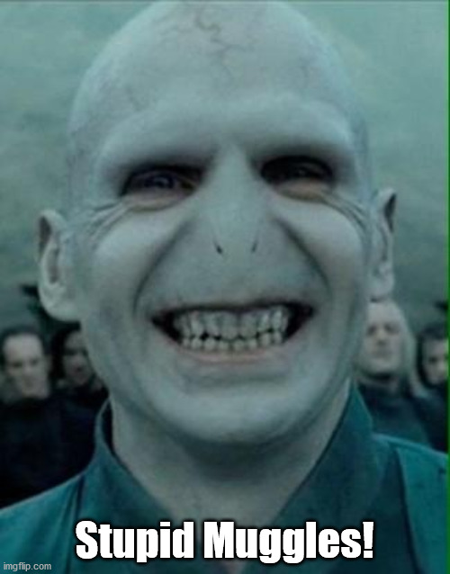 Voldemort Grin | Stupid Muggles! | image tagged in voldemort grin | made w/ Imgflip meme maker