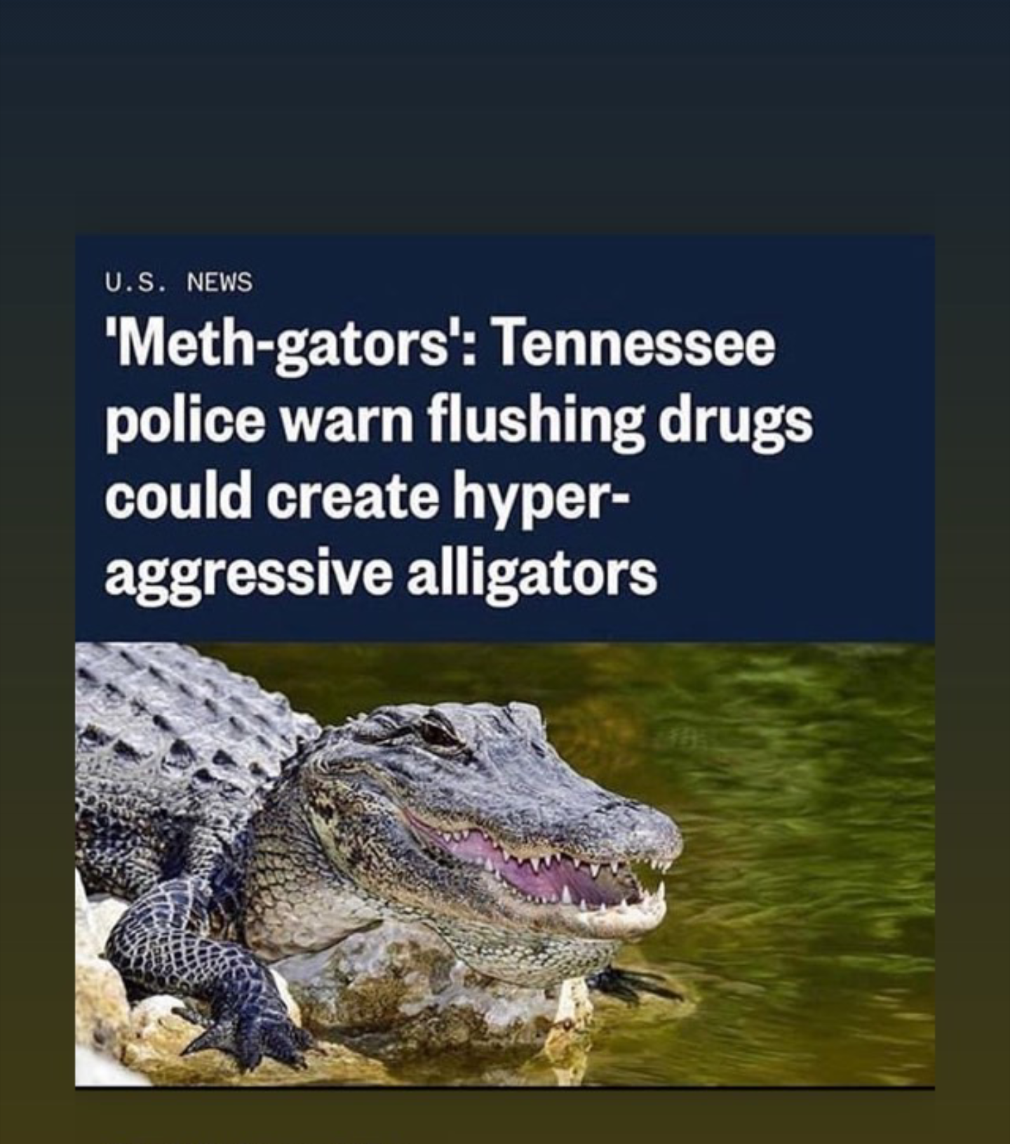 July 2020 Meth Gators Blank Meme Template