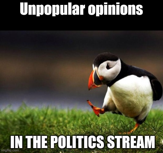 Unpopular Opinion Puffin Meme | Unpopular opinions IN THE POLITICS STREAM | image tagged in memes,unpopular opinion puffin | made w/ Imgflip meme maker
