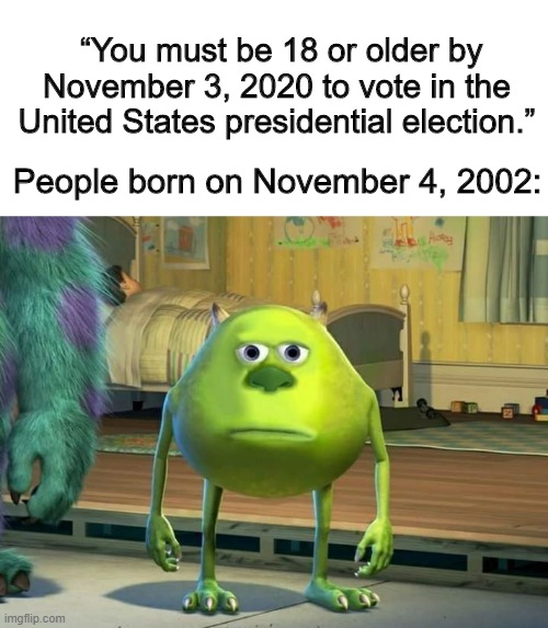 Sorry, maybe next time. | “You must be 18 or older by November 3, 2020 to vote in the United States presidential election.”; People born on November 4, 2002: | image tagged in mike wazowski-sulley face swap,election 2020,trump,politics,memes | made w/ Imgflip meme maker