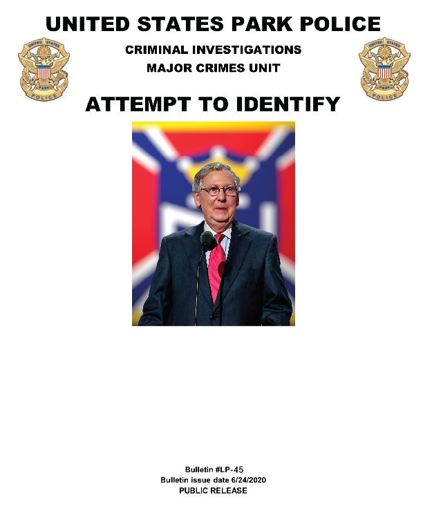 High Quality Mitch McConnell Wanted Poster (protester poster from Trump) Blank Meme Template