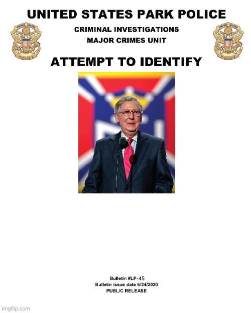 Mitch McConnell Wanted Poster (protester poster from Trump) | image tagged in mitch mcconnell wanted poster protester poster from trump | made w/ Imgflip meme maker