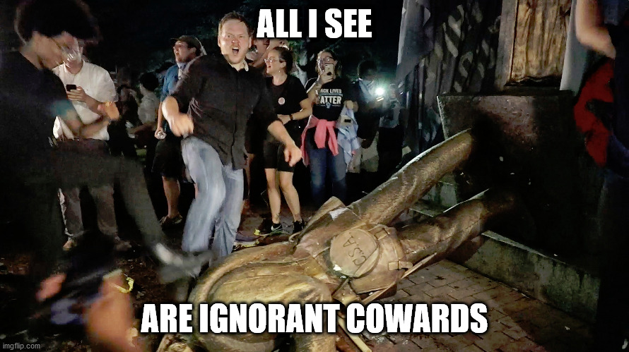 Liberal Protestors are... | ALL I SEE; ARE IGNORANT COWARDS | image tagged in liberals,black lives matter,antifa,protesters | made w/ Imgflip meme maker