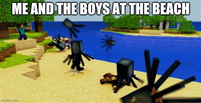 Squid | ME AND THE BOYS AT THE BEACH | image tagged in squid | made w/ Imgflip meme maker