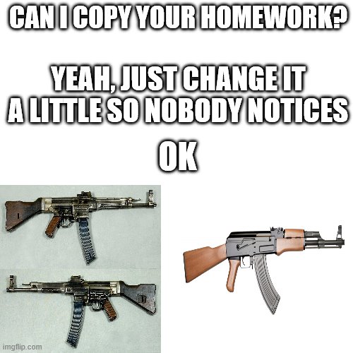 STG-44 vs AK-47 | CAN I COPY YOUR HOMEWORK? YEAH, JUST CHANGE IT A LITTLE SO NOBODY NOTICES; OK | image tagged in hey can i copy your homework,guns | made w/ Imgflip meme maker