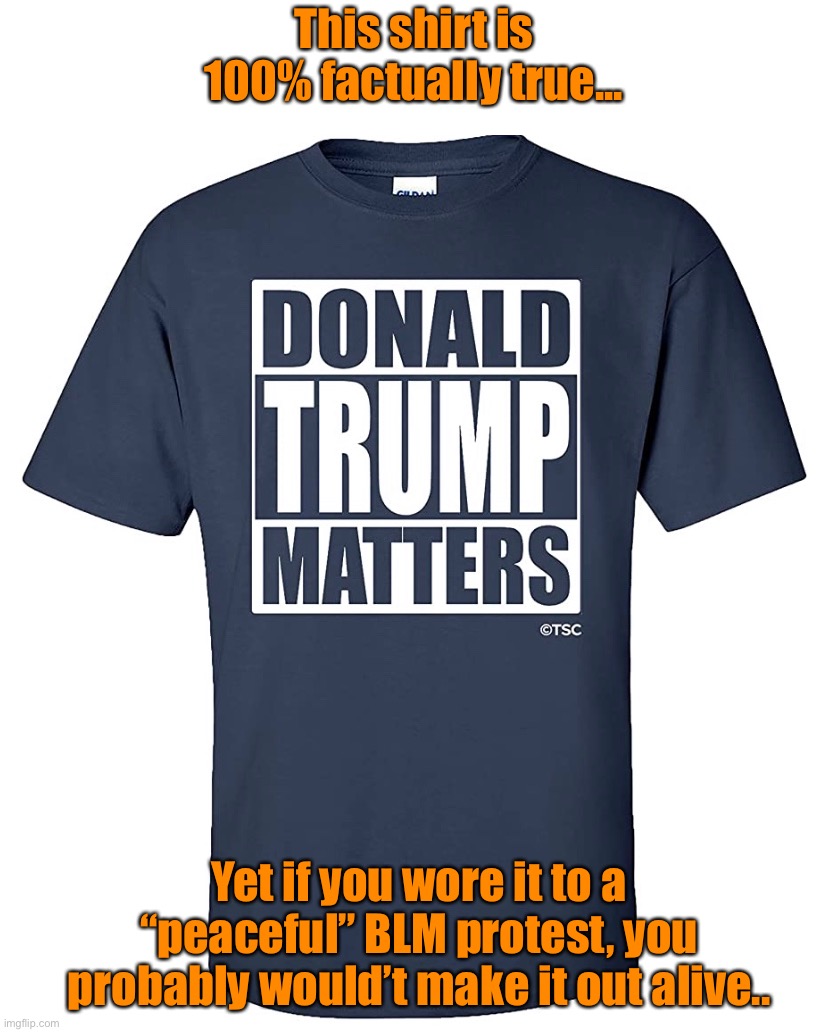 Donald Trump Matters.  Make America Great Again Matters. | This shirt is 100% factually true... Yet if you wore it to a “peaceful” BLM protest, you probably would’t make it out alive.. | image tagged in make america great again | made w/ Imgflip meme maker