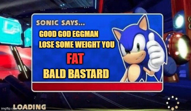 Honest Sonic | LOSE SOME WEIGHT YOU; GOOD GOD EGGMAN; FAT; BALD BASTARD | image tagged in sonic says | made w/ Imgflip meme maker