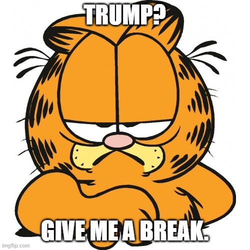 Garfield | TRUMP? GIVE ME A BREAK. | image tagged in garfield | made w/ Imgflip meme maker