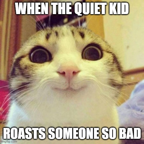 Smiling Cat | WHEN THE QUIET KID; ROASTS SOMEONE SO BAD | image tagged in memes,smiling cat | made w/ Imgflip meme maker