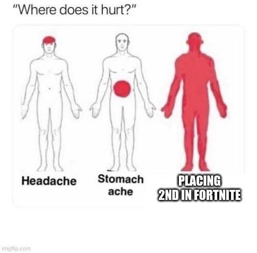 Oww!  2nd place! | PLACING 2ND IN FORTNITE | image tagged in where does it hurt | made w/ Imgflip meme maker