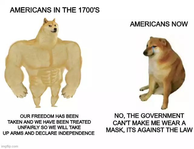 Buff Doge vs. Cheems | AMERICANS IN THE 1700'S; AMERICANS NOW; OUR FREEDOM HAS BEEN TAKEN AND WE HAVE BEEN TREATED UNFAIRLY SO WE WILL TAKE UP ARMS AND DECLARE INDEPENDENCE; NO, THE GOVERNMENT CAN'T MAKE ME WEAR A MASK, ITS AGAINST THE LAW | image tagged in buff doge vs cheems | made w/ Imgflip meme maker