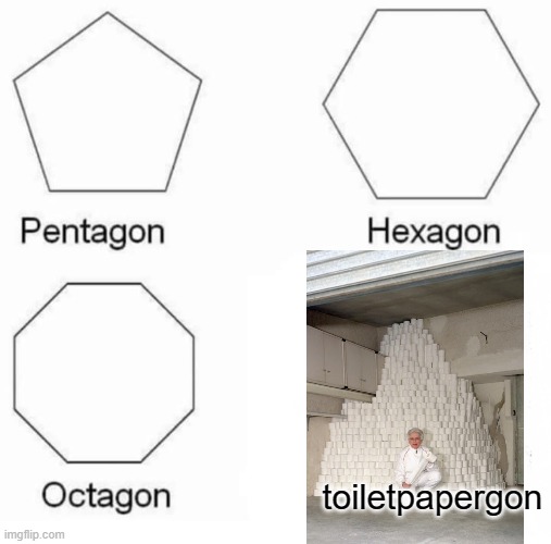 huge pile of toilet paper | toiletpapergon | image tagged in memes,pentagon hexagon octagon | made w/ Imgflip meme maker