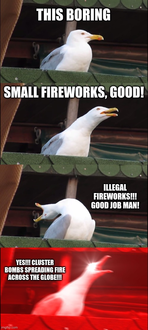 Inhaling Seagull Meme | THIS BORING SMALL FIREWORKS, GOOD! ILLEGAL FIREWORKS!!! GOOD JOB MAN! YES!!! CLUSTER BOMBS SPREADING FIRE ACROSS THE GLOBE!!! | image tagged in memes,inhaling seagull | made w/ Imgflip meme maker