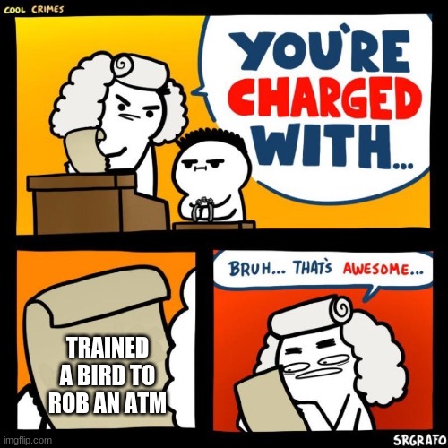 cool crimes | TRAINED A BIRD TO ROB AN ATM | image tagged in cool crimes | made w/ Imgflip meme maker