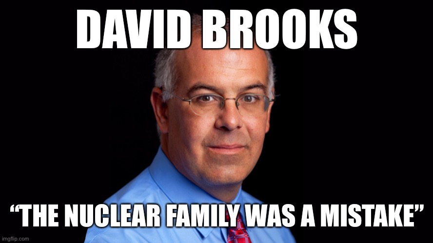 The “nuclear family” has broken down for many. We need to stop idolizing it and envision alternatives: e.g. the extended family. | DAVID BROOKS “THE NUCLEAR FAMILY WAS A MISTAKE” | image tagged in david brooks,family,black lives matter,blacklivesmatter,blm,children | made w/ Imgflip meme maker