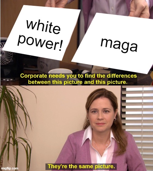 He seriously needs to be removed from office by any mechanism possible. | white power! maga | image tagged in memes,they're the same picture,politics,maga,racist,impeach trump | made w/ Imgflip meme maker