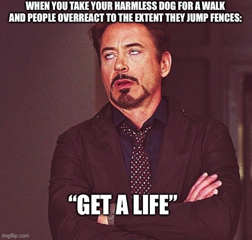 WHEN YOU TAKE YOUR HARMLESS DOG FOR A WALK AND PEOPLE OVERREACT TO THE EXTENT THEY JUMP FENCES:; “GET A LIFE” | image tagged in memes | made w/ Imgflip meme maker