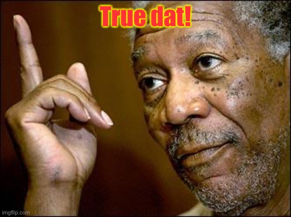 This Morgan Freeman | True dat! | image tagged in this morgan freeman | made w/ Imgflip meme maker
