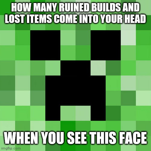 Scumbag Minecraft | HOW MANY RUINED BUILDS AND LOST ITEMS COME INTO YOUR HEAD; WHEN YOU SEE THIS FACE | image tagged in memes,scumbag minecraft | made w/ Imgflip meme maker