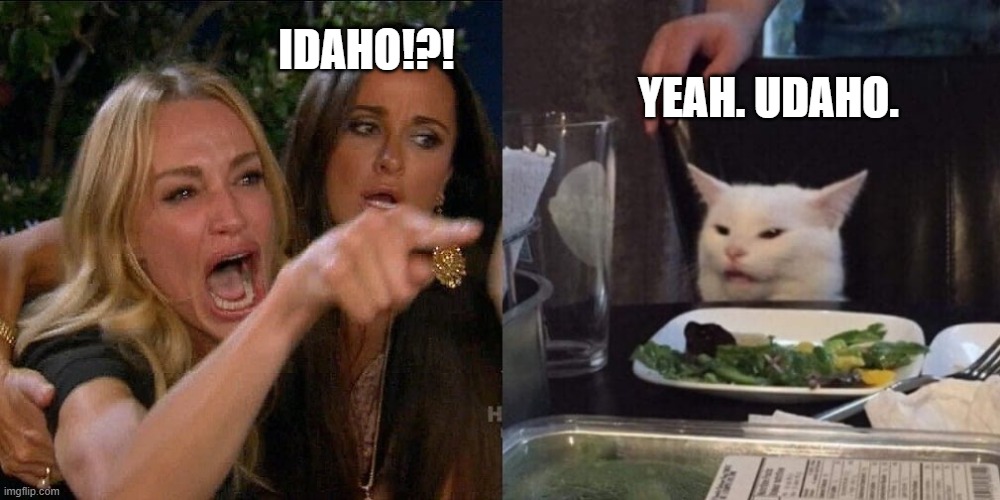 idaho/udaho | IDAHO!?! YEAH. UDAHO. | image tagged in cat a dinner table | made w/ Imgflip meme maker