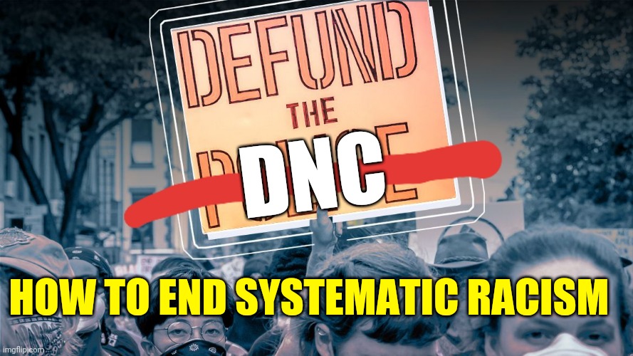 END RACISM IN AMERICA NOW: Defund the Democratic Party Movement | DNC; HOW TO END SYSTEMATIC RACISM | image tagged in democrats,racism,history,truth,politics,protest | made w/ Imgflip meme maker
