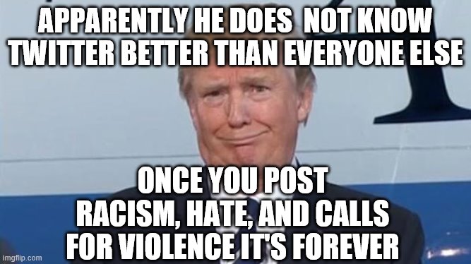 Stupid Trump | APPARENTLY HE DOES  NOT KNOW TWITTER BETTER THAN EVERYONE ELSE; ONCE YOU POST RACISM, HATE, AND CALLS FOR VIOLENCE IT'S FOREVER | image tagged in stupid trump | made w/ Imgflip meme maker