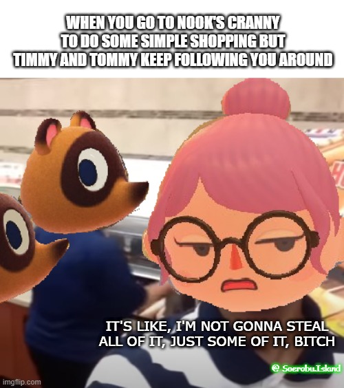 WHEN YOU GO TO NOOK'S CRANNY TO DO SOME SIMPLE SHOPPING BUT TIMMY AND TOMMY KEEP FOLLOWING YOU AROUND; IT'S LIKE, I'M NOT GONNA STEAL ALL OF IT, JUST SOME OF IT, BITCH; @ Soerobu.Island | image tagged in animal crossing,funny | made w/ Imgflip meme maker