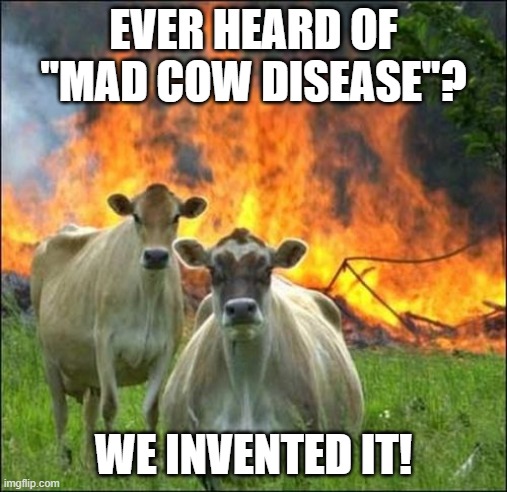 Evil Cows Meme | EVER HEARD OF "MAD COW DISEASE"? WE INVENTED IT! | image tagged in memes,evil cows | made w/ Imgflip meme maker