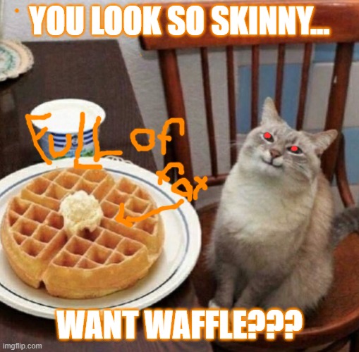 Cat likes their waffle | YOU LOOK SO SKINNY... WANT WAFFLE??? | image tagged in cat likes their waffle,evil,fat,waffles | made w/ Imgflip meme maker