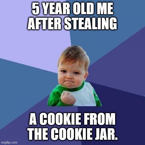 Success Kid | 5 YEAR OLD ME AFTER STEALING; A COOKIE FROM THE COOKIE JAR. | image tagged in memes,success kid | made w/ Imgflip meme maker