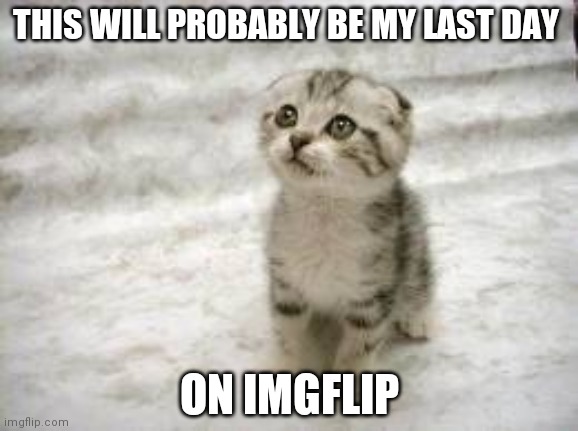 Sad Cat | THIS WILL PROBABLY BE MY LAST DAY; ON IMGFLIP | image tagged in memes,sad cat | made w/ Imgflip meme maker