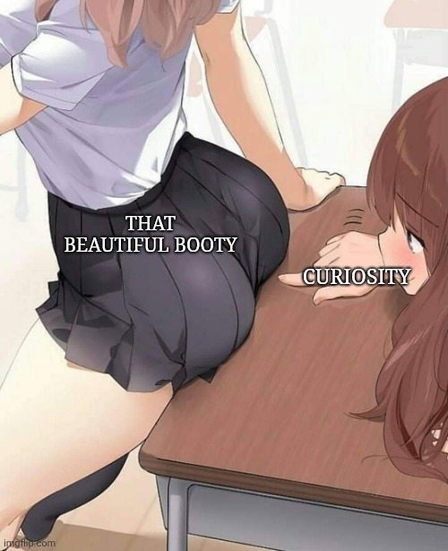 Anime Girl Impure Actions | THAT BEAUTIFUL BOOTY; CURIOSITY | image tagged in anime girl impure actions | made w/ Imgflip meme maker