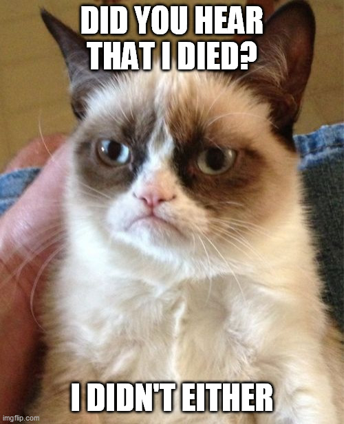 I DIED? | DID YOU HEAR THAT I DIED? I DIDN'T EITHER | image tagged in memes,grumpy cat | made w/ Imgflip meme maker