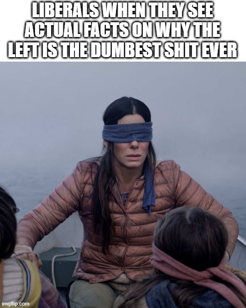 My Work Here Is Done | LIBERALS WHEN THEY SEE ACTUAL FACTS ON WHY THE LEFT IS THE DUMBEST SHIT EVER | image tagged in memes,bird box | made w/ Imgflip meme maker