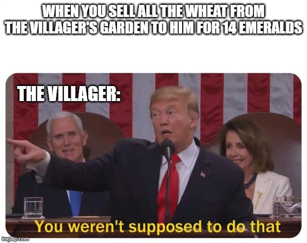 You weren't supposed to do that |  WHEN YOU SELL ALL THE WHEAT FROM THE VILLAGER'S GARDEN TO HIM FOR 14 EMERALDS; THE VILLAGER: | image tagged in you weren't supposed to do that,minecraft | made w/ Imgflip meme maker