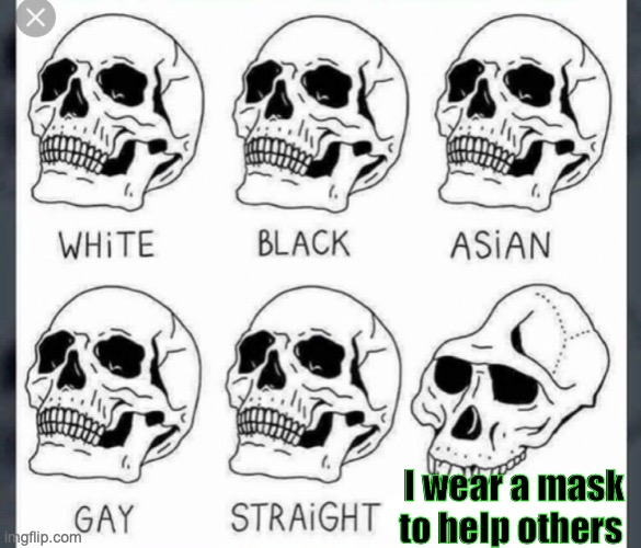 White Black Asian Gay Straight skull template | I wear a mask to help others | image tagged in white black asian gay straight skull template | made w/ Imgflip meme maker