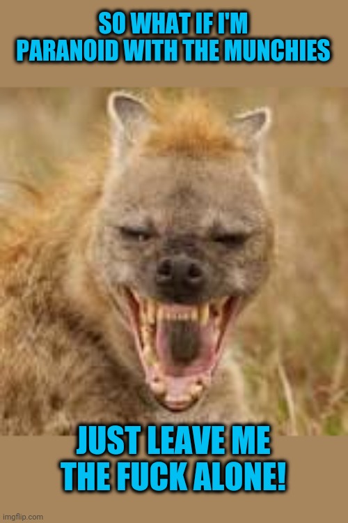 Mohawk hyena | SO WHAT IF I'M PARANOID WITH THE MUNCHIES JUST LEAVE ME THE FUCK ALONE! | image tagged in mohawk hyena | made w/ Imgflip meme maker