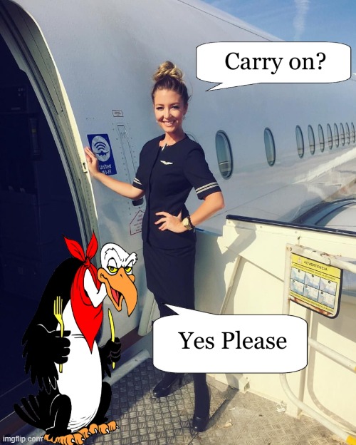 carry on | image tagged in buzzard,stewardess,kewlew | made w/ Imgflip meme maker