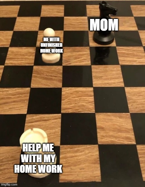 Chess knight pawn rook | MOM; ME WITH UNFINISHED HOME WORK; HELP ME WITH MY HOME WORK | image tagged in chess knight pawn rook | made w/ Imgflip meme maker