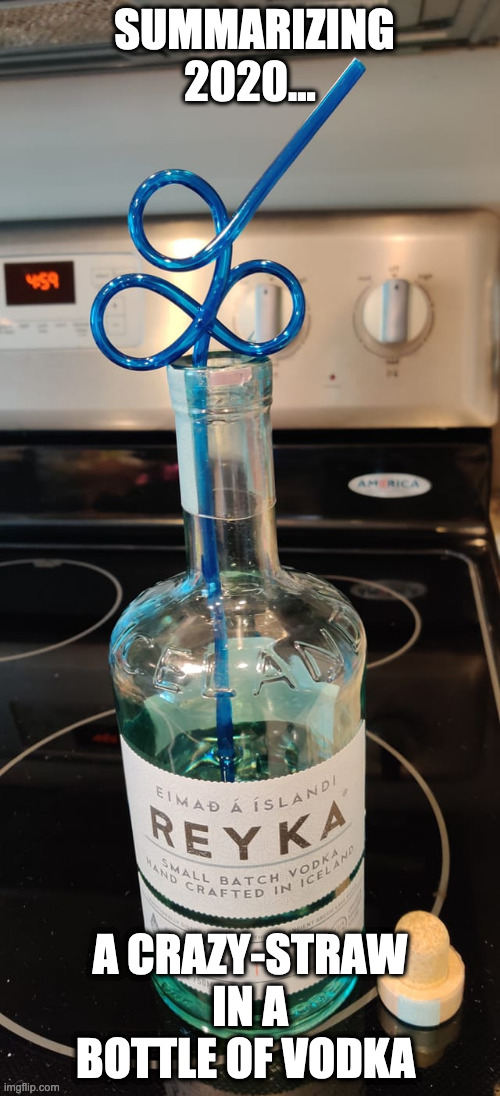 Summarizing 2020... | SUMMARIZING 2020... A CRAZY-STRAW IN A BOTTLE OF VODKA | image tagged in 2020,vodka,2020 elections,covid19,murder hornet,blm | made w/ Imgflip meme maker