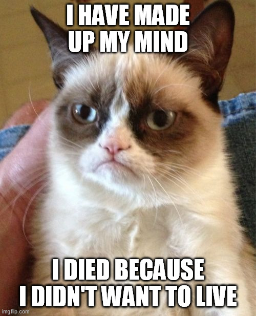 Grumpy Cat | I HAVE MADE UP MY MIND; I DIED BECAUSE I DIDN'T WANT TO LIVE | image tagged in memes,grumpy cat | made w/ Imgflip meme maker